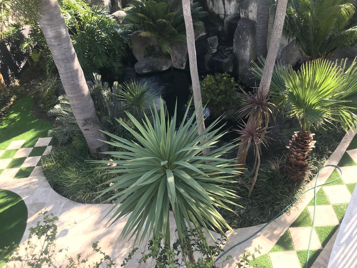 赫曼努斯Francolin Manor住宿加早餐旅馆 外观 照片