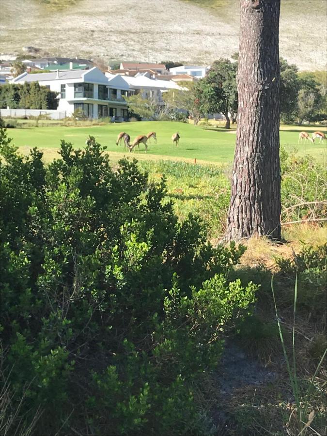 赫曼努斯Francolin Manor住宿加早餐旅馆 外观 照片